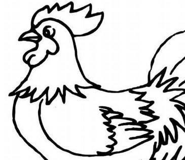 公鸡的简笔画图片大全 公鸡的简笔画图片大全可爱简单又漂亮