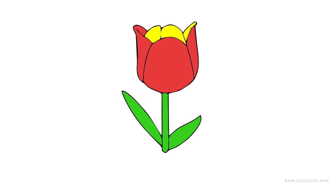 彩色郁金香简笔画怎么画？郁金香简笔画步骤图解来教你