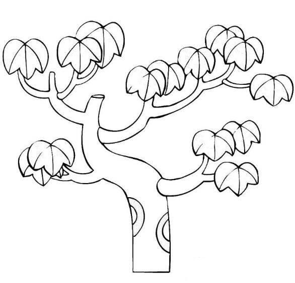枫树简笔画 枫树简笔画图片大全大图