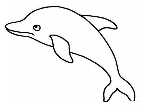 海豚简笔画 海豚简笔画简单