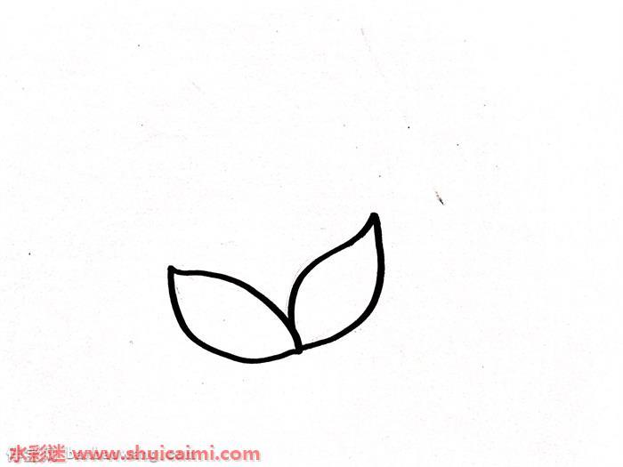 灯笼草怎么画 灯笼草简笔画图片带颜色