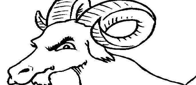 羊简笔画 羊简笔画简单可爱