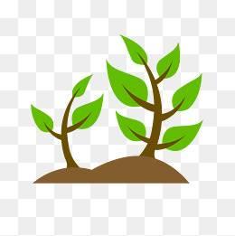 小树苗简笔画图片大全 小树苗简笔画图片大全彩色