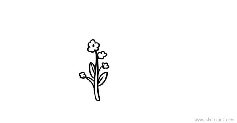 小油菜儿童画怎么画 小油菜简笔画好看