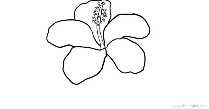 扶桑花儿童画怎么画 扶桑花简笔画顺序