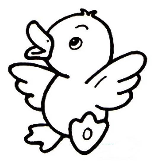 鸭子简笔画图片大全可爱 鸭子简笔画图片大全可爱带颜色
