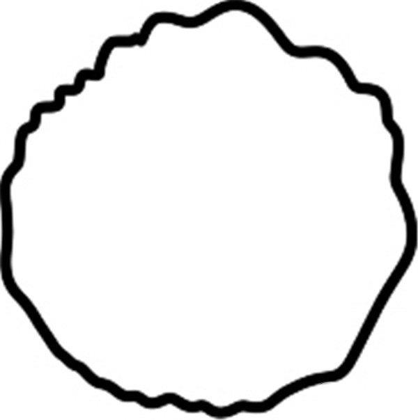 灿烂的雏菊简笔画怎么画 灿烂的雏菊简笔画图片