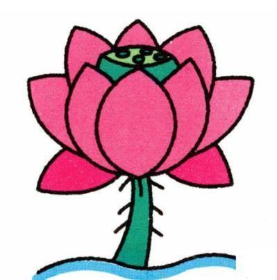 荷花简笔画 荷花简笔画怎么画