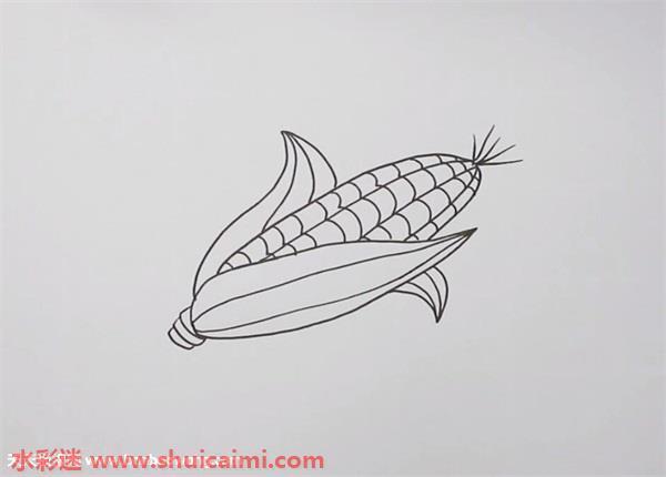 玉米怎么画 玉米简笔画简单易画彩色