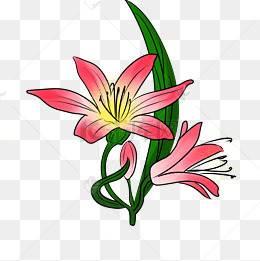 映山红简笔画 映山红简笔画儿童