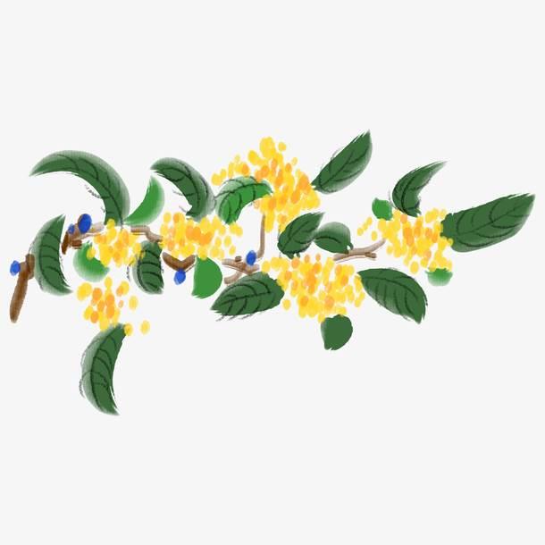 桂花的简笔画 桂花的简笔画怎么画最好看又简单