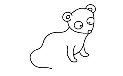 貂的简笔画怎么画 水貂简笔画