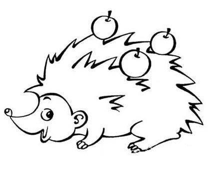小刺猬简笔画图片大全 小刺猬简笔画图片大全大图