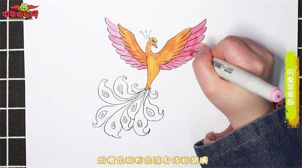 凤凰怎么画 凤凰简笔画漂亮卡通