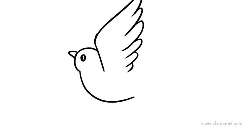 白鸽儿童画怎么画 白鸽简笔画简单又好看