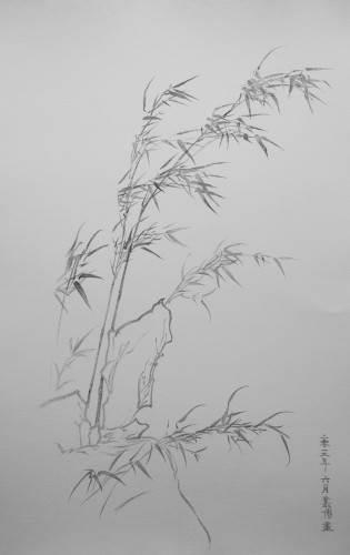 竹子简笔画图片大全 大熊猫竹子简笔画图片大全