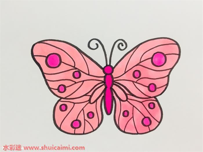 蝴蝶花纹怎么画 蝴蝶花纹简笔画简单彩色
