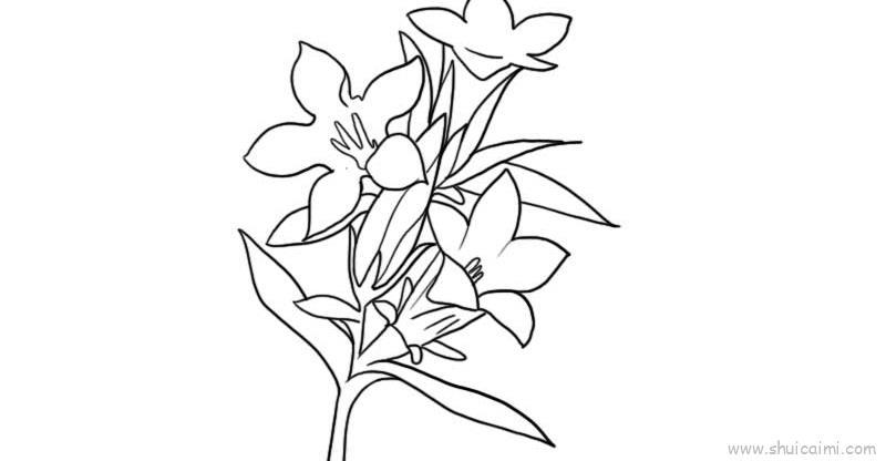 龙胆草花儿童画怎么画 龙胆草花简笔画画法