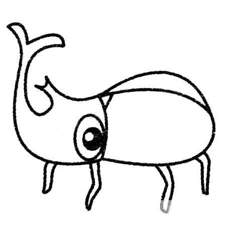 甲虫简笔画 金步甲虫简笔画