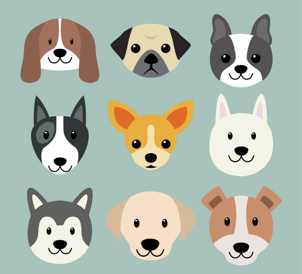 狗头简笔画 狗头简笔画可爱图片