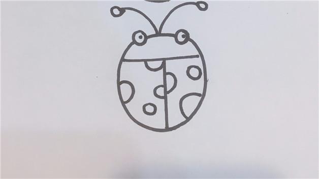 甲壳虫简笔画怎么画 甲壳虫简笔画简单