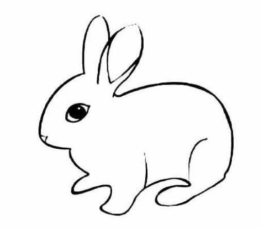 白兔简笔画图片大全 小兔子简笔画怎么画