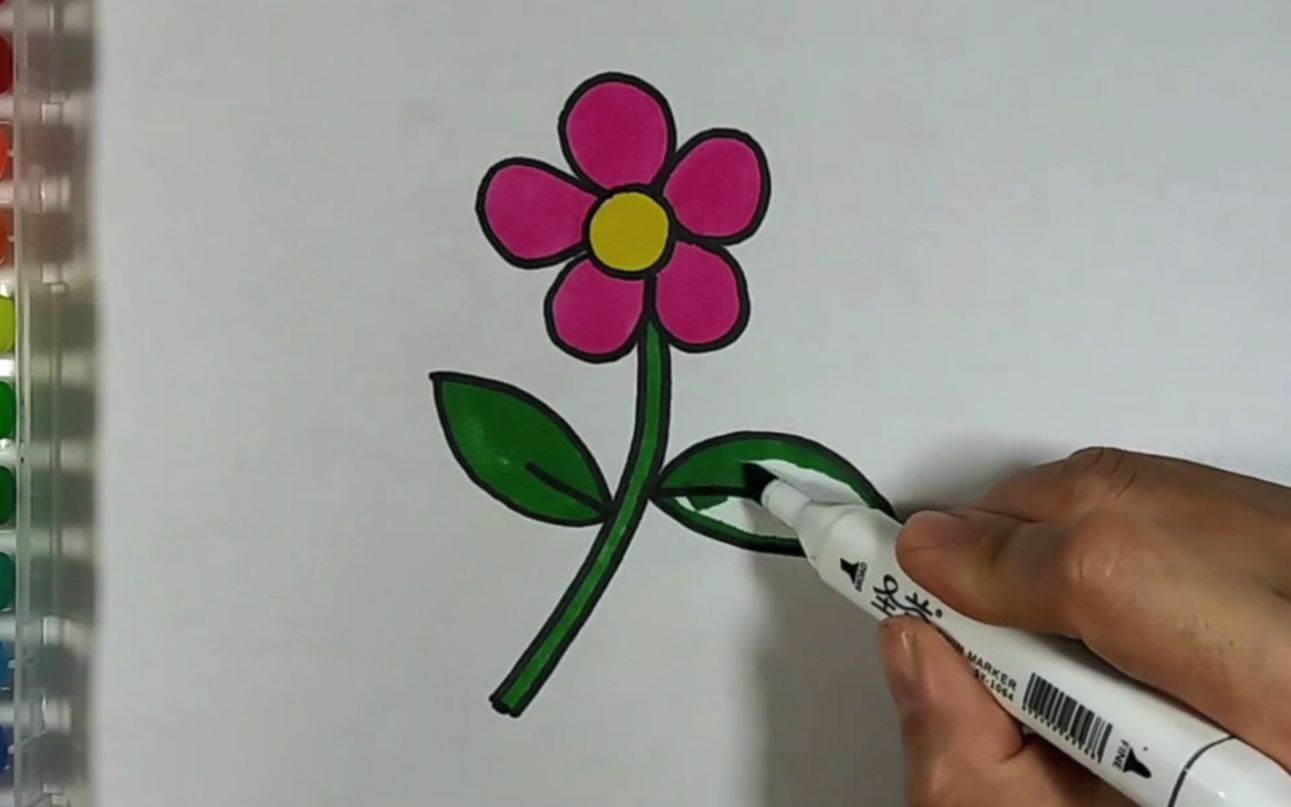 画花简笔画 如何画花简笔画