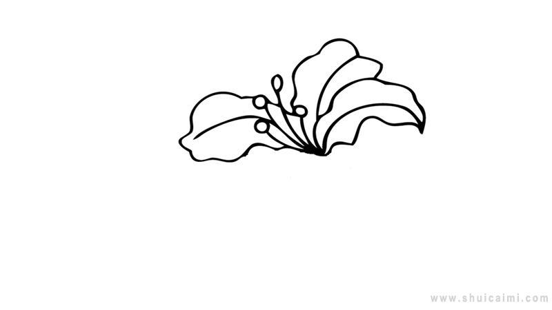 紫荆花简笔画怎么画 紫荆花简笔画简单又好看