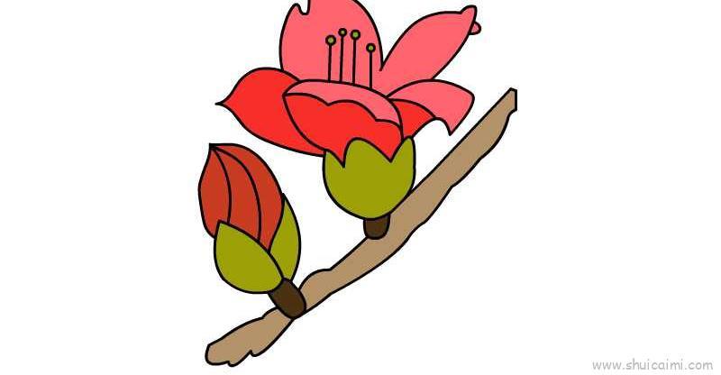 木棉花儿童画怎么画 木棉花简笔画步骤