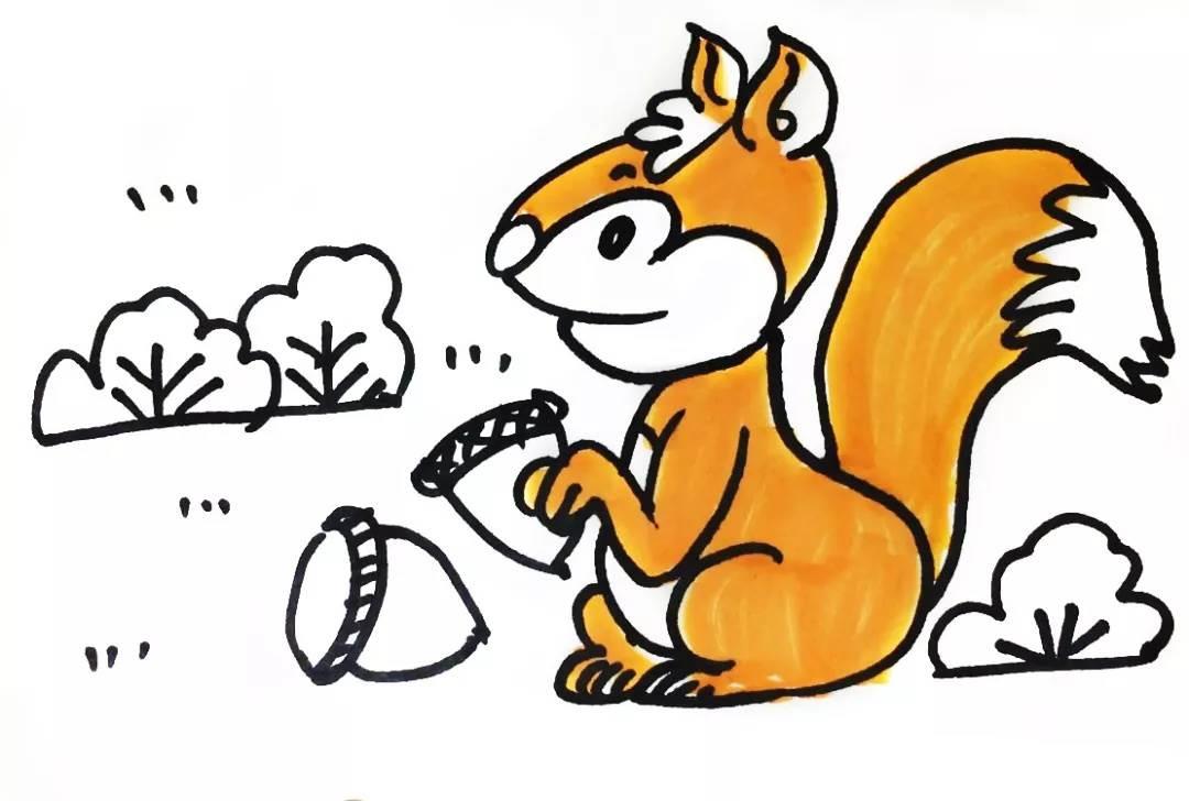 小松鼠简笔画 小松鼠简笔画可爱又简单
