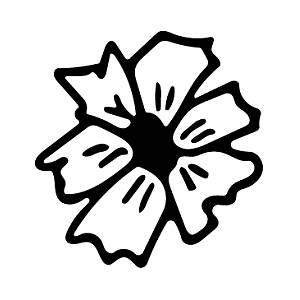 花瓣的简笔画图片大全 花瓣的简笔画图片大全大图