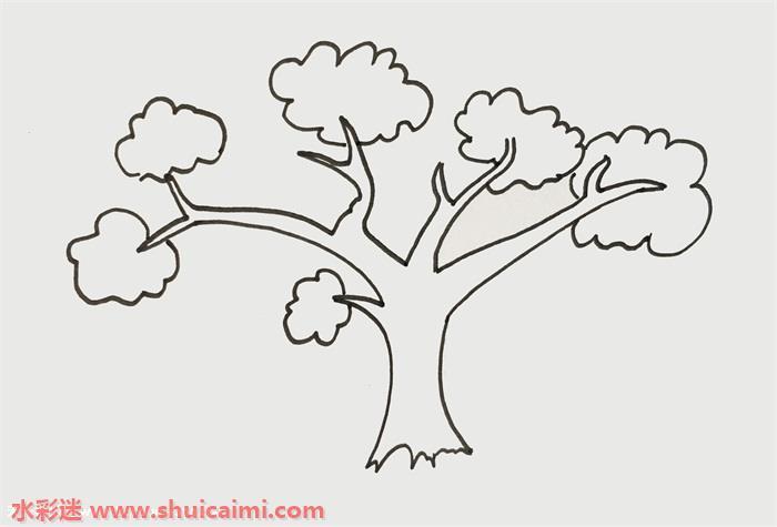 树冠怎么画 树冠简笔画步骤图