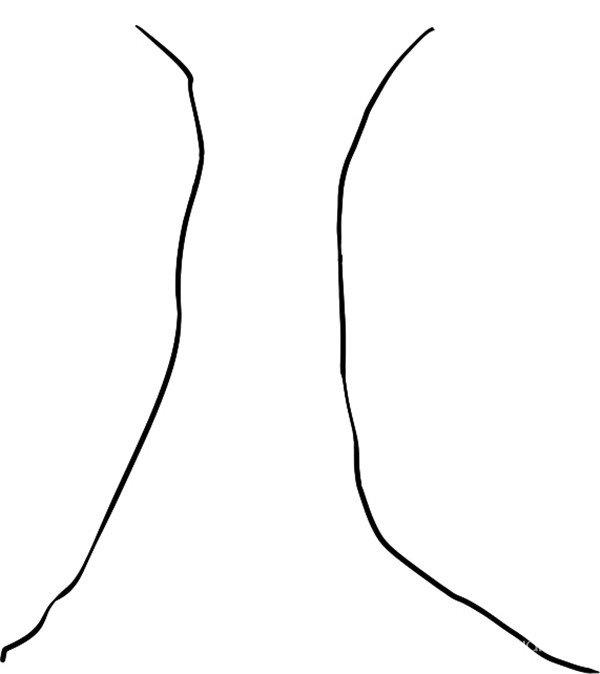 扎实的树的简笔画怎么画 扎实的树简笔画简单又好看