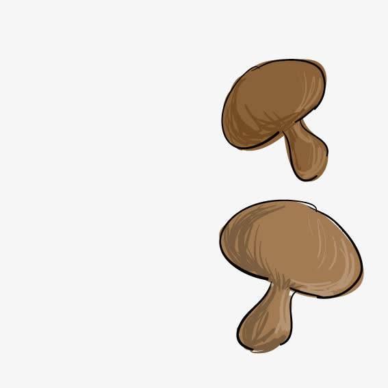 香菇简笔画 香菇简笔画彩色