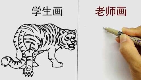 老虎简笔画 老虎简笔画霸气