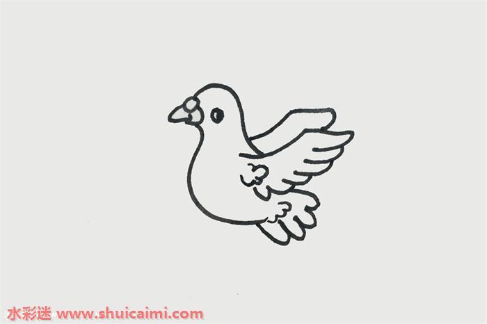 鸽子怎么画 鸽子简笔画画法