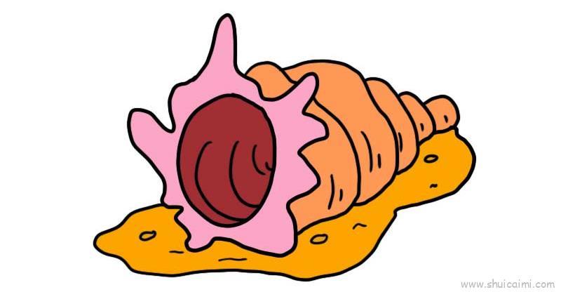 海螺儿童画怎么画 海螺简笔画简单