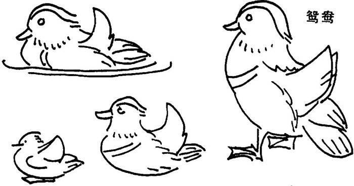 鸳鸯简笔画 一对鸳鸯简笔画