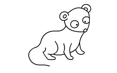 貂的简笔画怎么画 水貂简笔画