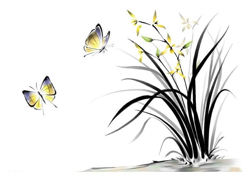 兰花简笔画图片大全 兰花简笔画图片大全带颜色