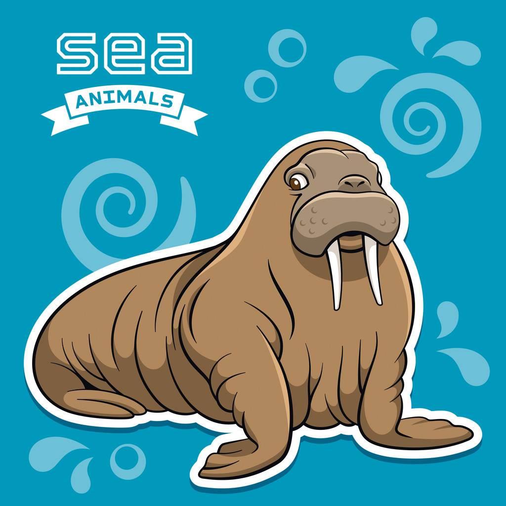 海象简笔画图片大全 海象简笔画图片大全大图