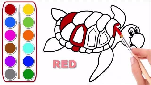 海龟简笔画 海龟简笔画图片