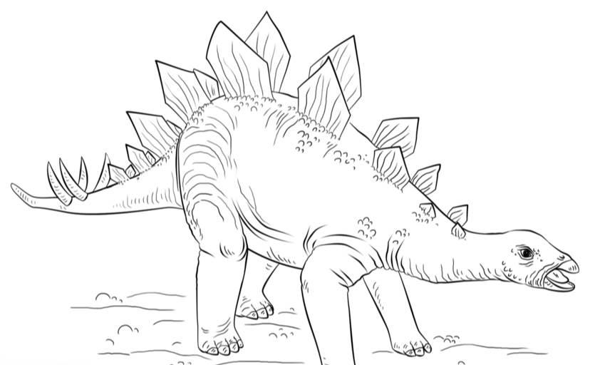 剑龙简笔画 翼龙简笔画图片大全