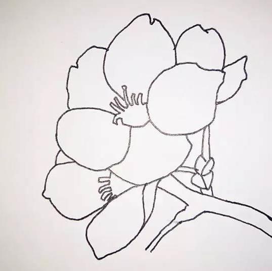 桃花简笔画 桃花简笔画简单又好看
