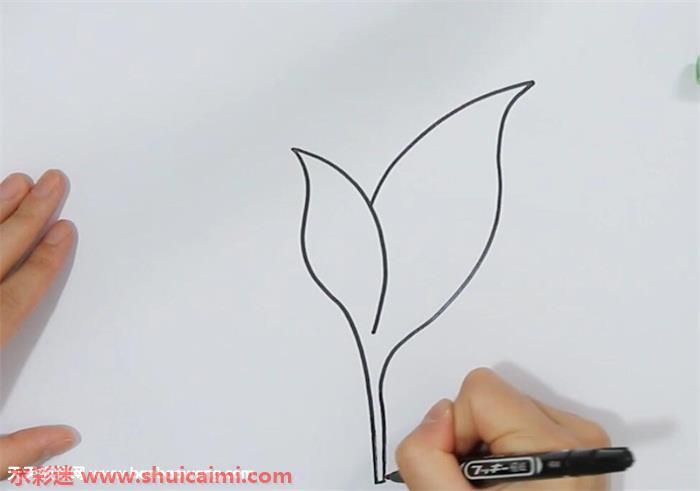 茶叶怎么画 茶叶简笔画简单又漂亮彩色