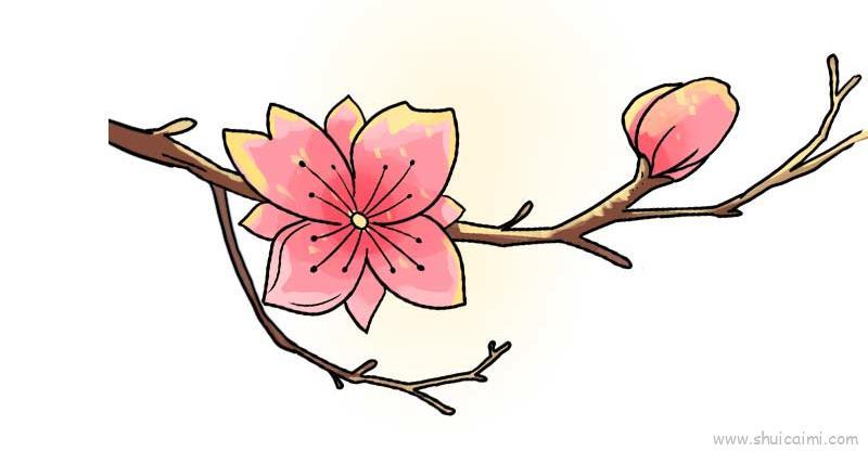 桃花儿童画怎么画 桃花简笔画步骤