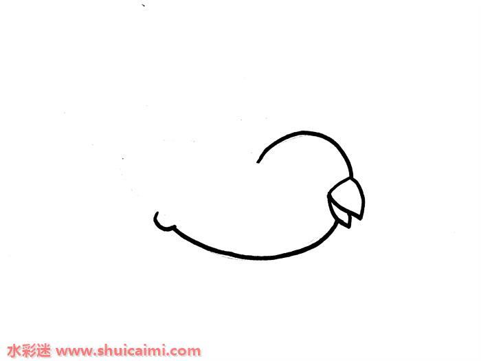 QQ红包鸟怎么画 QQ红包鸟简笔画简单好看彩色