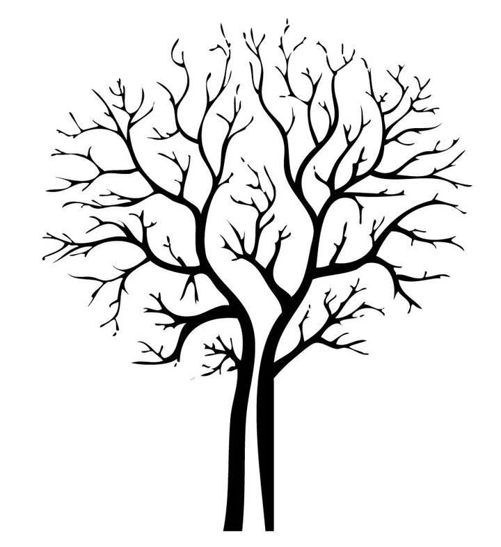 树干简笔画 树干简笔画简单又好看