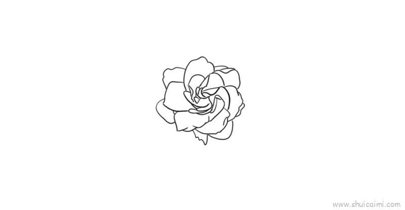 栀子花儿童画怎么画 栀子花简笔画顺序