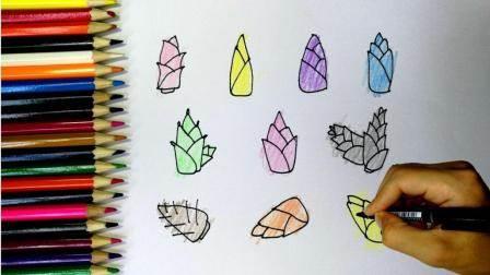 竹笋简笔画 竹笋简笔画好看又简单